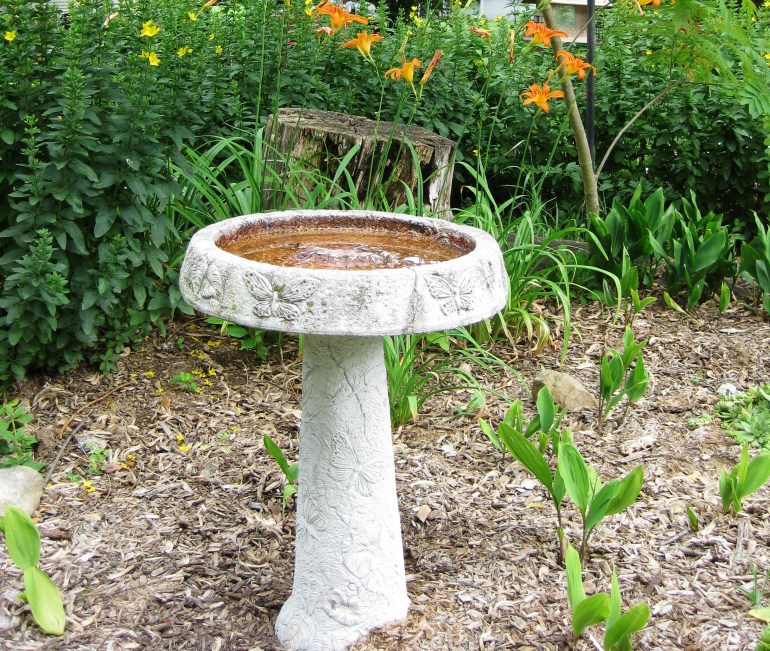 Birdbath