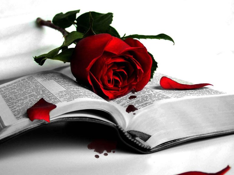 book-rose-red-fall