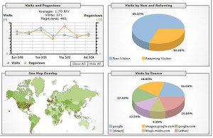 Visitor-Statistics