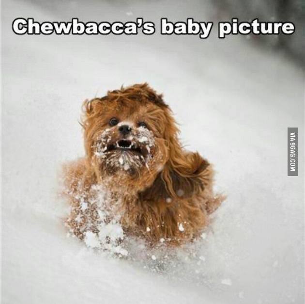 1390690_605430329502681_1850428275_n