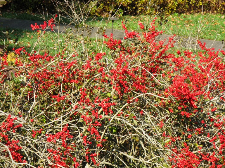 Longwood Gardens 007