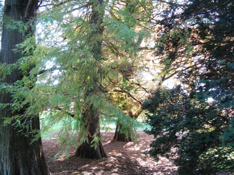 Longwood Gardens 009