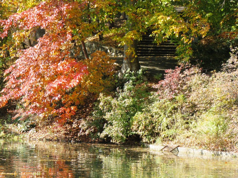 Longwood Gardens 016