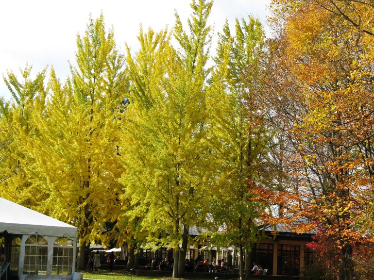 Longwood Gardens 027