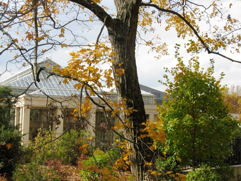 Longwood Gardens 029