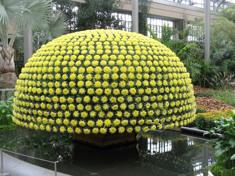 Longwood Gardens 034