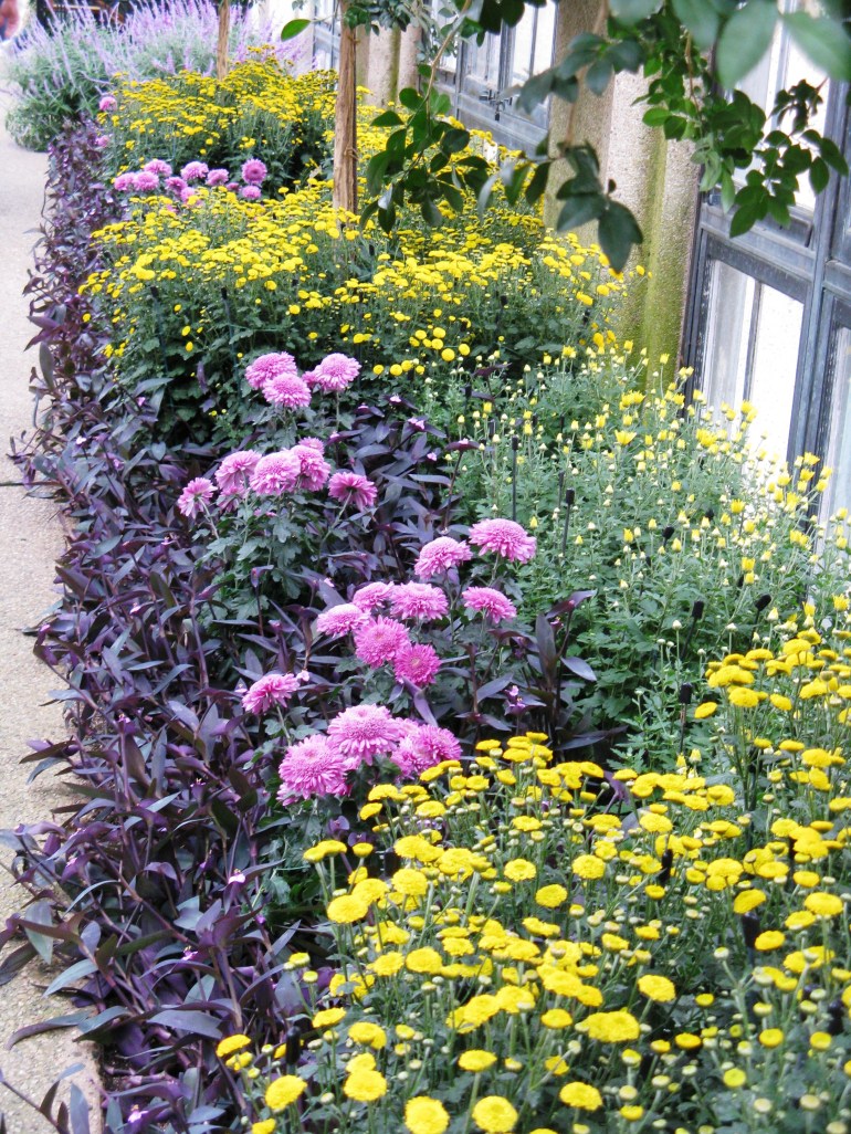 Longwood Gardens 055