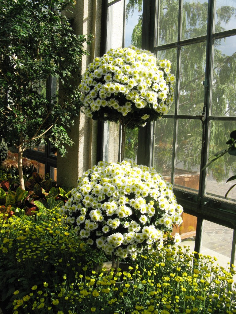 Longwood Gardens 060