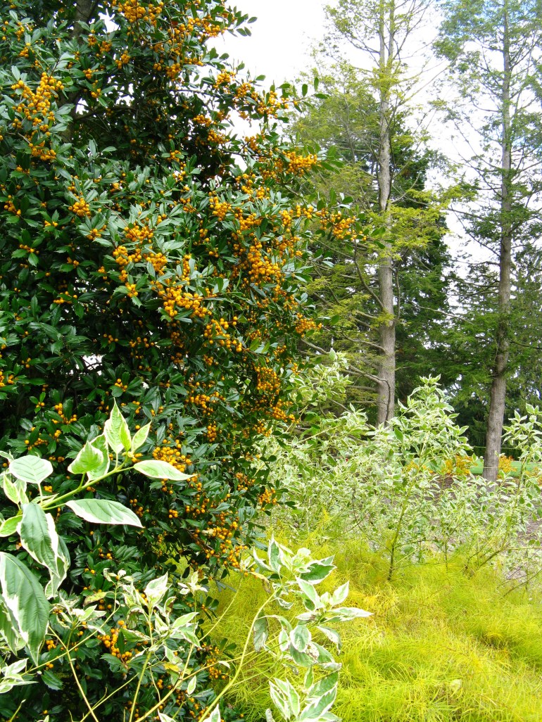 Longwood Gardens 071