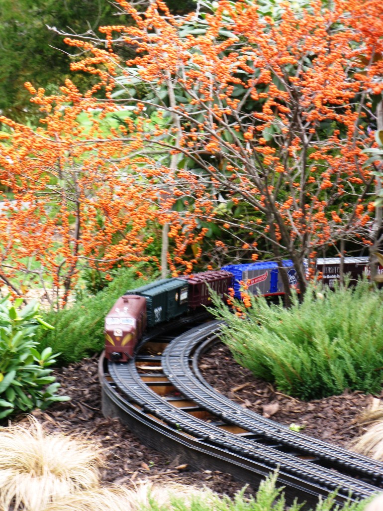 Longwood Gardens 076