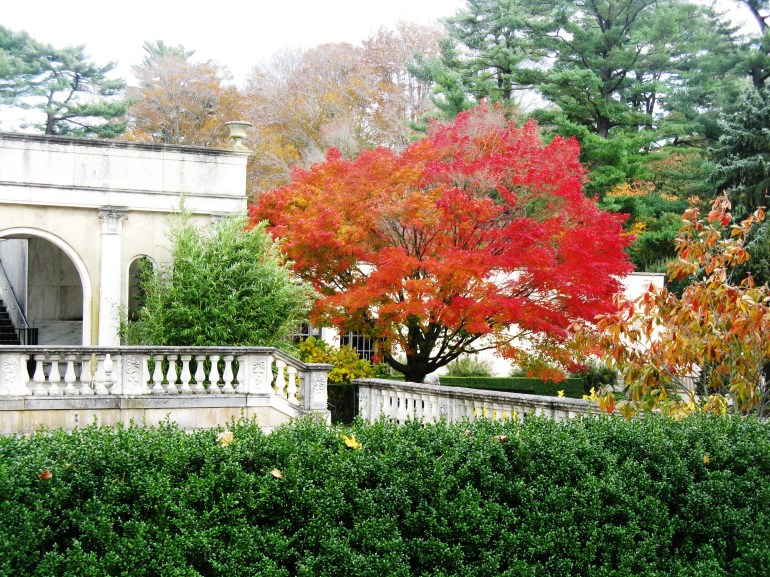 Longwood Gardens 086