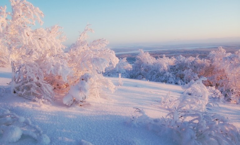 451-beautiful-winter-snow-hd-picture-800x600