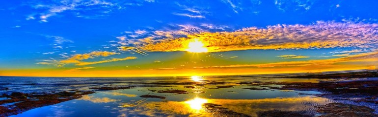 Delight Springs Forth