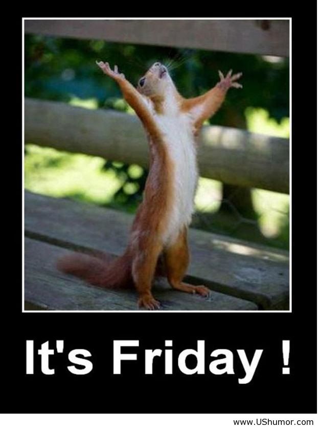 funny-friday-pictures-bacon-wrapped-media-17