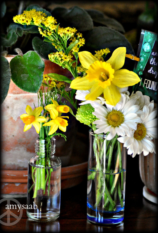 wee flowers bringing in life, sunshine & happy