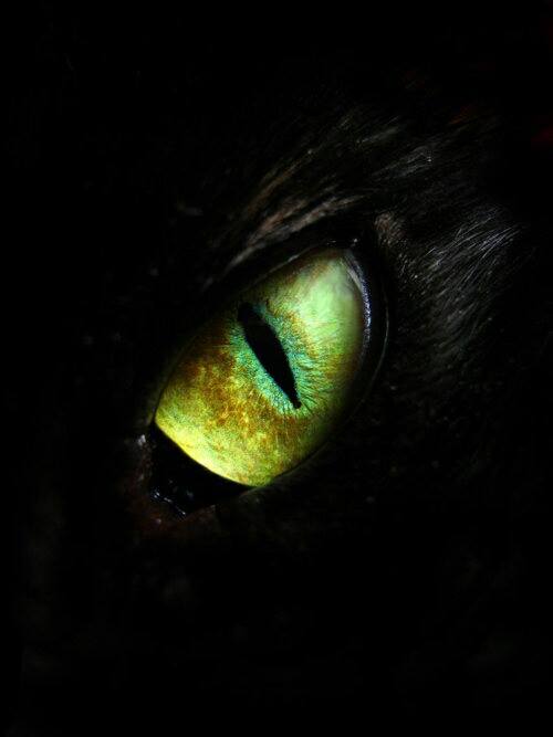 Out of the Darkness