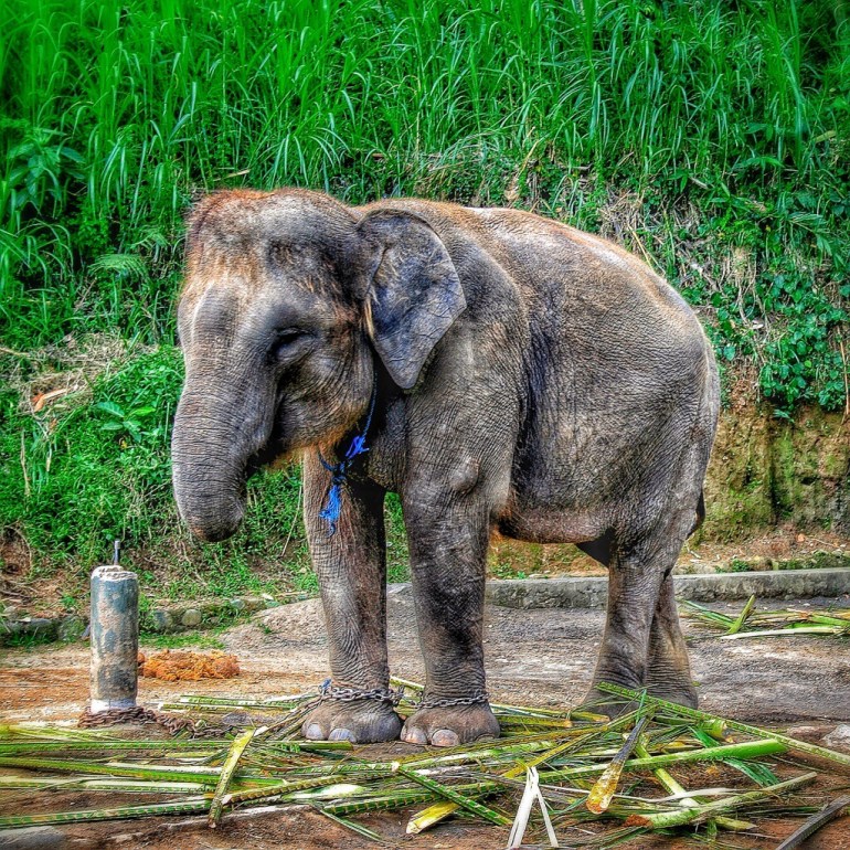 20140217-033128 pm.jpg