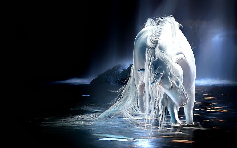 Magnifiscence