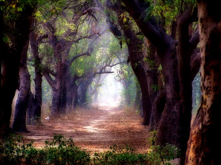 Purpose from the Loam