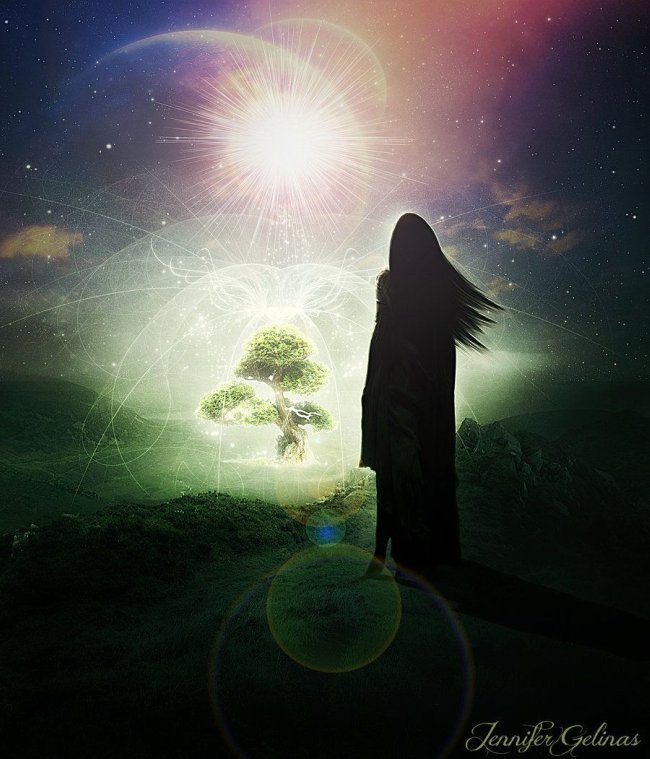 While Dreams Beguile