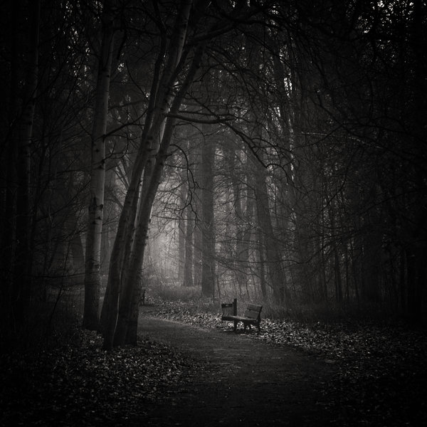 Silence____by_WiciaQ