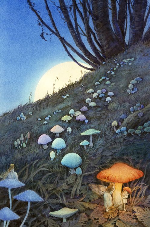Whispers of Transpiring Night