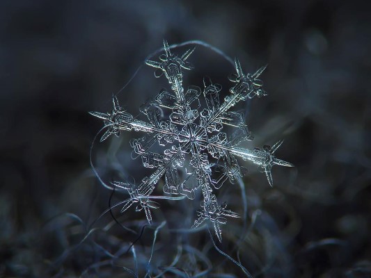 Snowflake 5