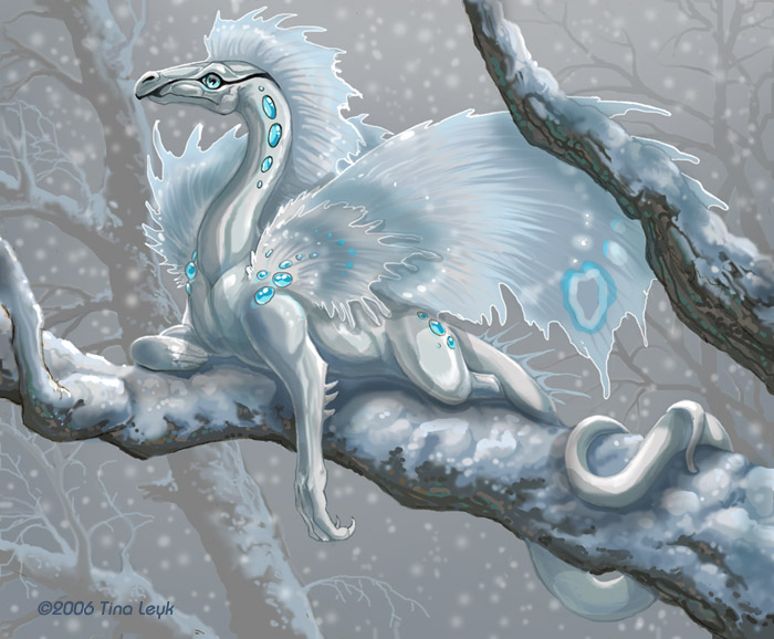 Little_Snow_Dragon__by_jaxxblackfox