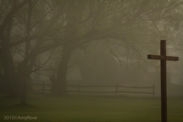 The Mist by Amy Rose