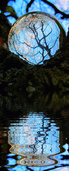 eea21cb5462d1294ac53d4f41a5b0471