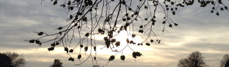 cropped-14001752043_e9173487a1_o1