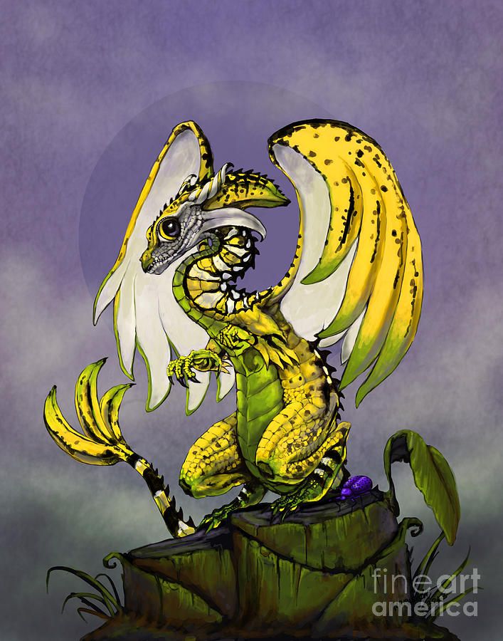 a286dbfad5de68d99f2adee29fcb82eb