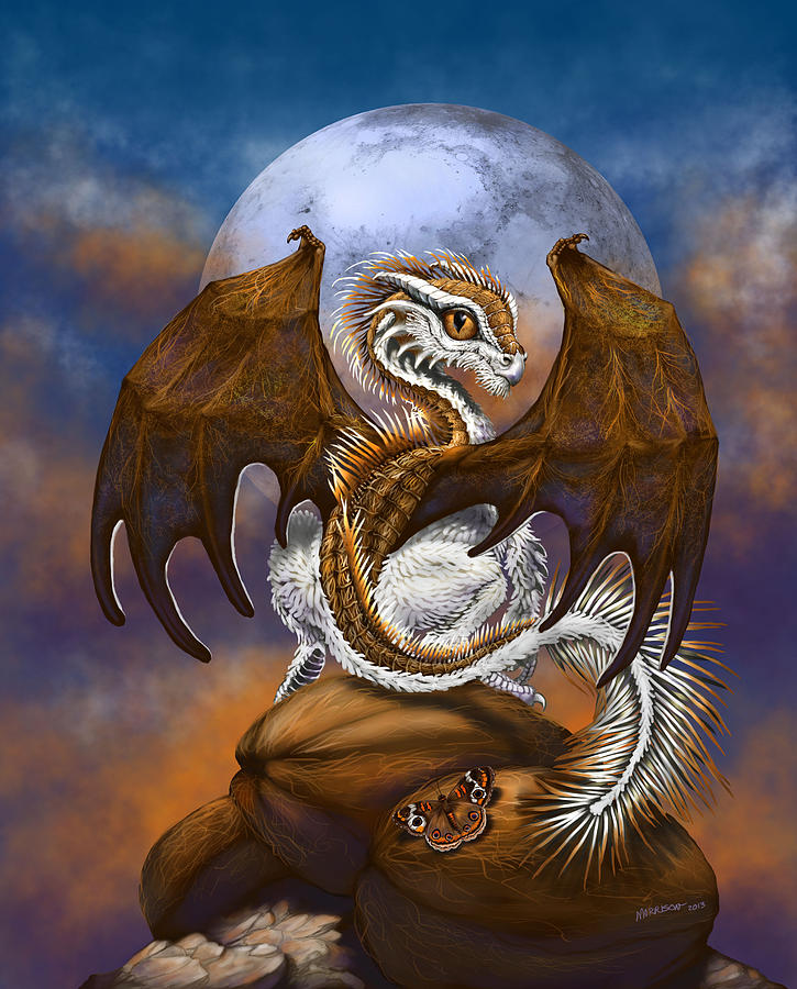 coconut-dragon-stanley-morrison