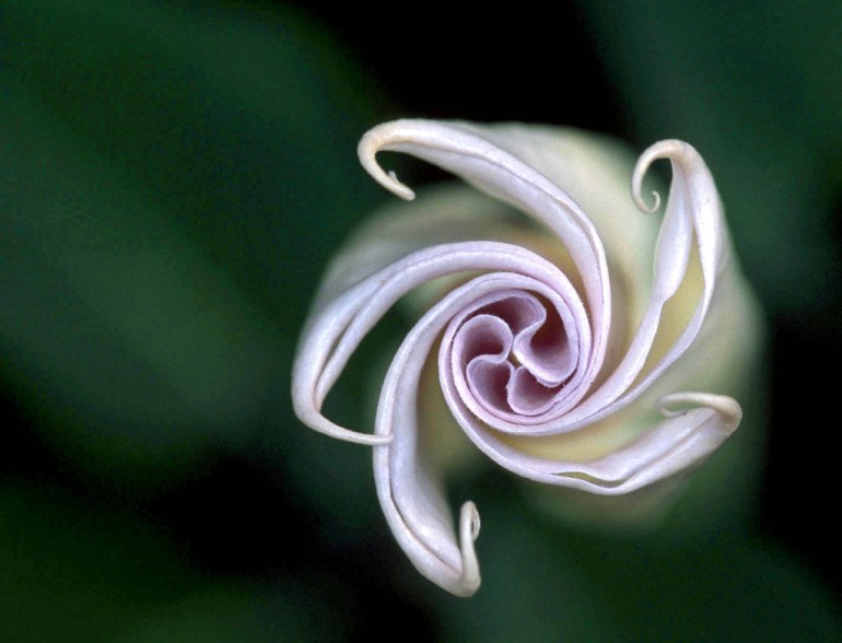 UNFOLDING4