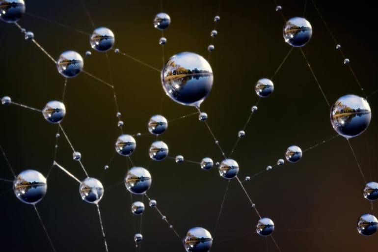 Inseparable Uniqueness