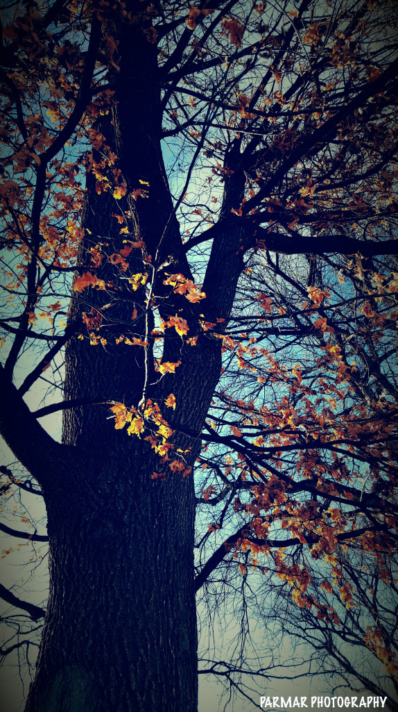 when-dreams-fade-away