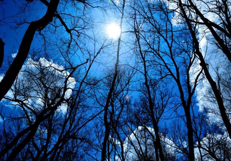 10305260_638544542900363_8027056763679120799_n