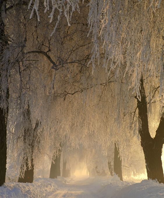 56680750c5402bc21e50c2082fcf566c