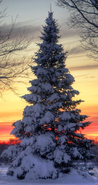 6a898cea8761901295bc9bf1e2857952