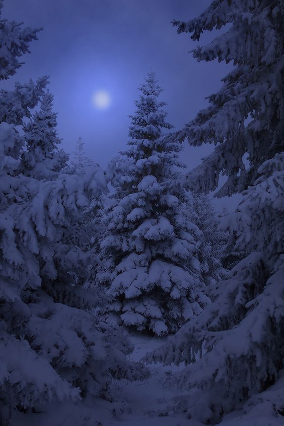 807512b77bed6934dcf02f3b82063b4b