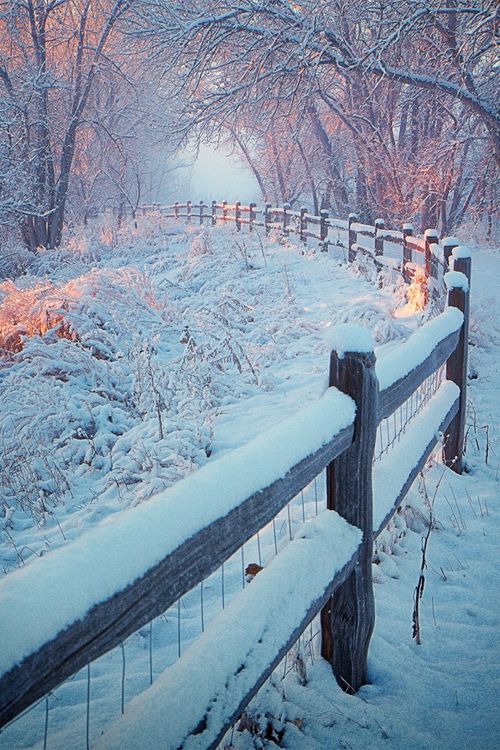 c3202e6df02044cd2831028fb5c991db