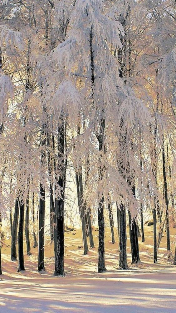 e7a3ccd12c434bdbab1ffd7df1672b92