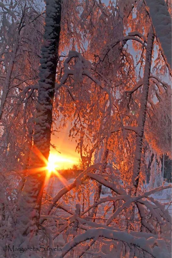 f27c024606cdf562a2799f51f6bee14d