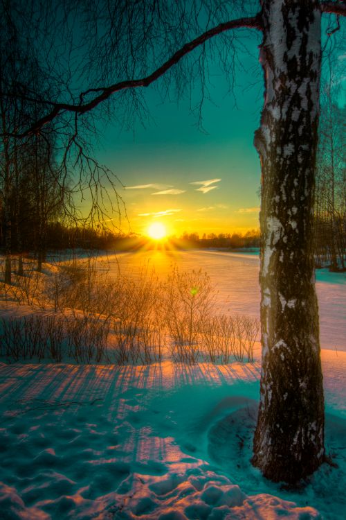 f35812ff901947cc423b1d3e19d519c1