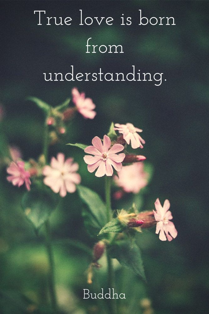 understanding1
